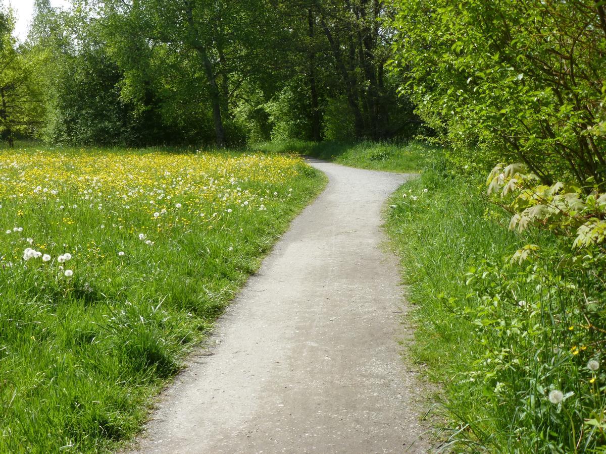 Ferienwohnung In Kempten Am Stadtweiher Zewnętrze zdjęcie